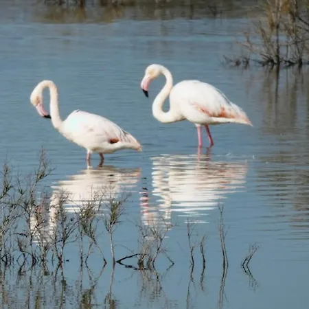 Apartman Sea View Penthouse *