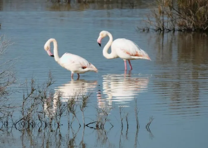 Apartmán Sea View Penthouse *